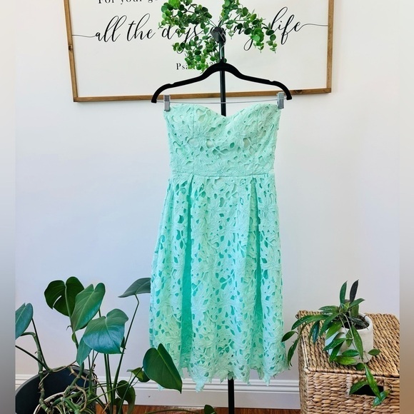Alya Francesca’s Harpeth Mint Teal Seafoam Midi Guipure Floral Embroidered Dress - Picture 5 of 14